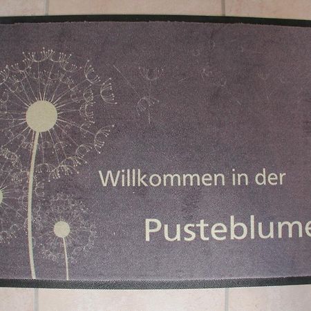 Ferienwohnung Pusteblume Cochem Rom bilde