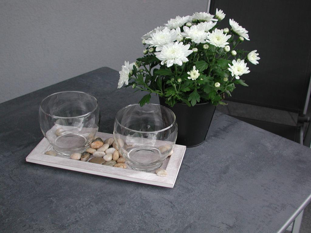 Ferienwohnung Pusteblume Cochem Rom bilde
