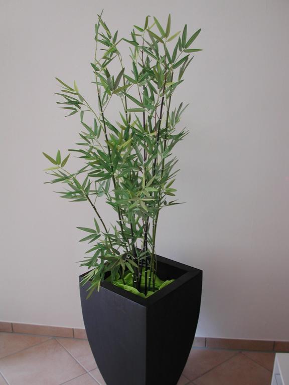 Ferienwohnung Pusteblume Cochem Rom bilde